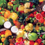 Website-arokiya palangal