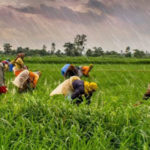 Website-cover nattar padalgal