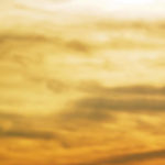 Website-cover-1400-x-500